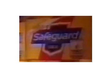 Mẫu thiết kế logo thương hiệu công ty Safeguard