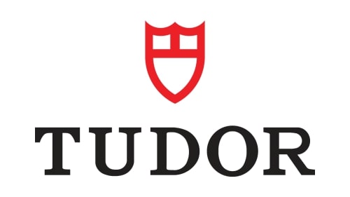 Mẫu thiết kế logo thương hiệu công ty TUDOR 1