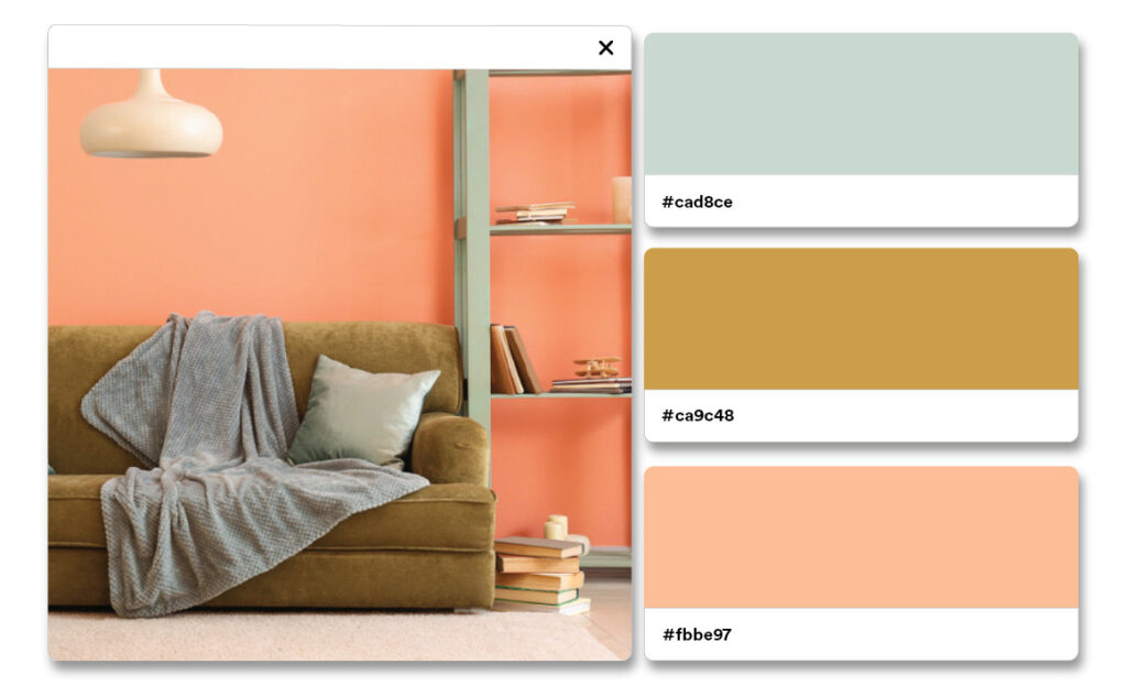 Màu sắc của năm 2024 của Pantone Được làm dịu bởi màu đào