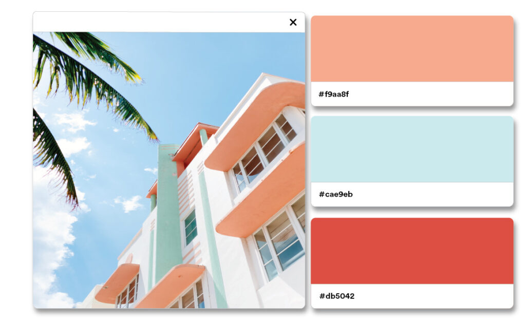 Màu sắc của năm 2024 của Pantone Được làm dịu bởi màu đào